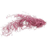 Branche d’asperge • Rose Pâle • 60-70 cm •