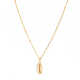 Collier Cauri coquillage or