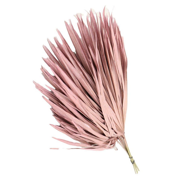 Feuille de palmier • 10 pcs • 80 cm • Rosa • Frosted Pink •