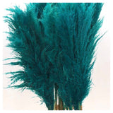 Herbe de pampa Cortaderia • 115cm • Turquoise •