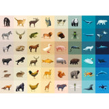 Puzzle Fauna 1000 pièces